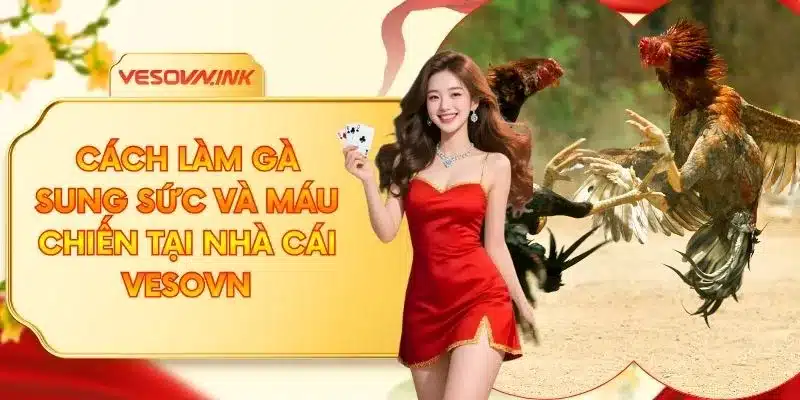 Cách Làm Gà Sung Sức Và Máu Chiến Tại Nhà Cái VESOVN