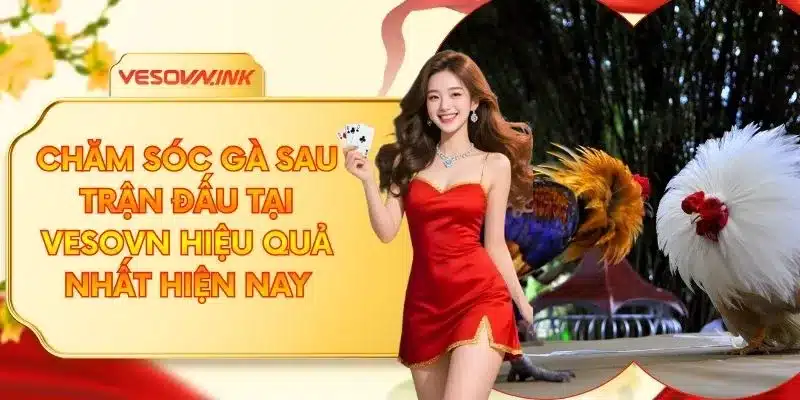 Chăm Sóc Gà Sau Trận Đấu Tại VESOVN Hiệu Quả Nhất Hiện Nay