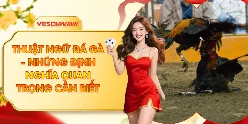 Thuật Ngữ Đá Gà - Những Định Nghĩa Quan Trọng Cần Biết