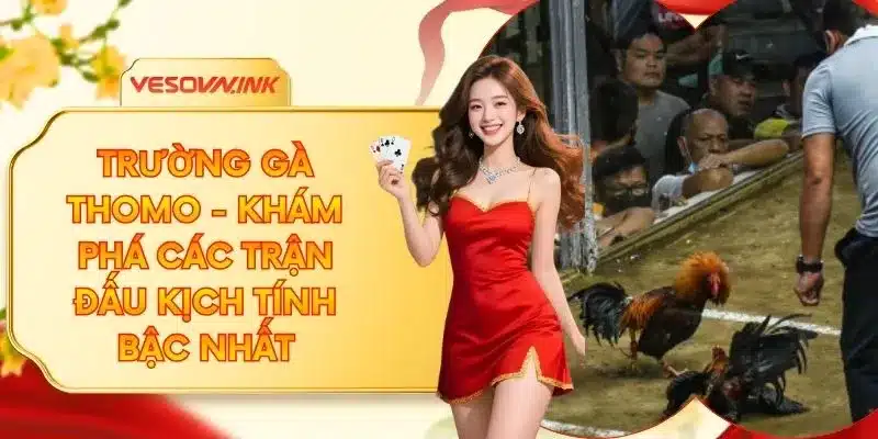 Trường Gà Thomo - Khám Phá Các Trận Đấu Kịch Tính Bậc Nhất